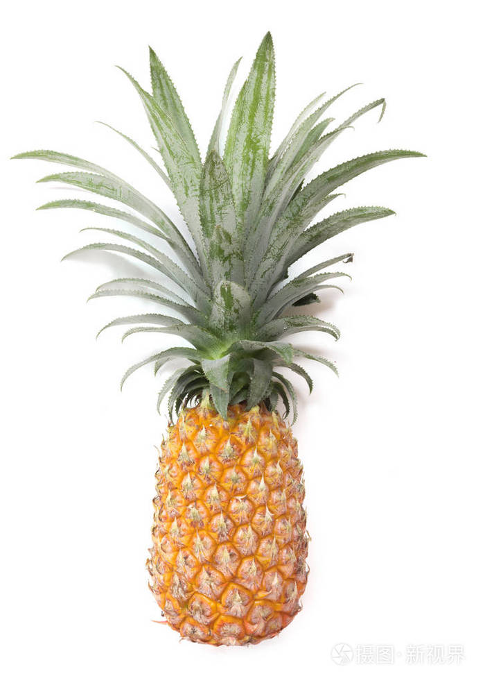 菠萝果在白色成熟