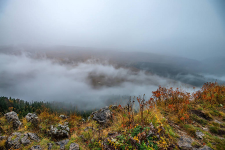 秋季景观与山林