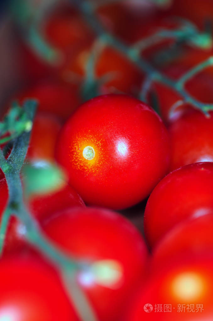 西红柿, 宏观特写镜头