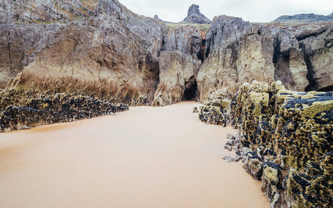 Rhossili, 威尔士海岸小道上的岩石海岸边