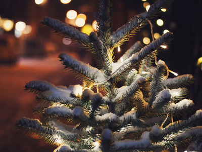 小圣诞树上的灯光和街道装饰