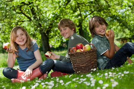孩子们在草地上吃苹果