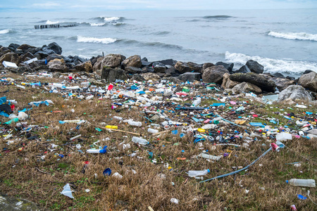 海岸和海洋的污染与生态问题