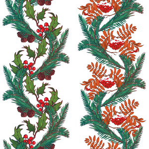 圣诞装饰无缝边界。冬青和槲寄生枝叶和浆果。冬季植物设计