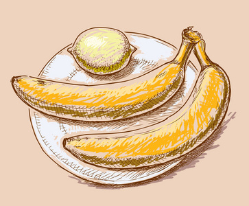 香蕉和柠檬的草图