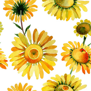 水彩风格的野花黄色菊花花图案