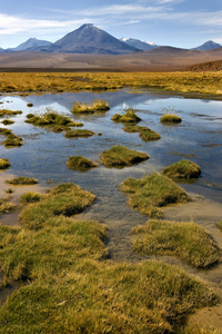 licancabur 火山在阿塔卡马沙漠智利