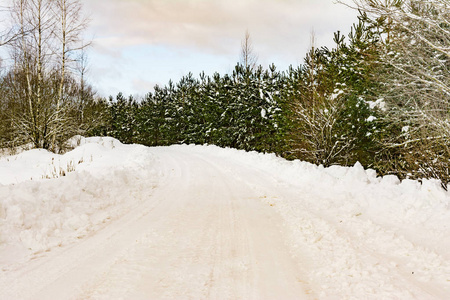 一条乡村雪路, 路边有小雪堆, 路边长着松树和云杉, 冬天在阳光明媚的日子里