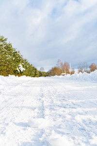 一条乡村雪路, 路边有小雪堆, 路边长着松树和云杉, 冬天在阳光明媚的日子里