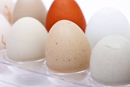 未经清洗的新鲜有机转基因食品和大豆自由牧场在白色背景的透明塑料容器中饲养鸡蛋