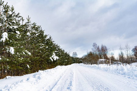 一条乡村雪路, 路边有小雪堆, 路边长着松树和云杉, 冬天在阳光明媚的日子里