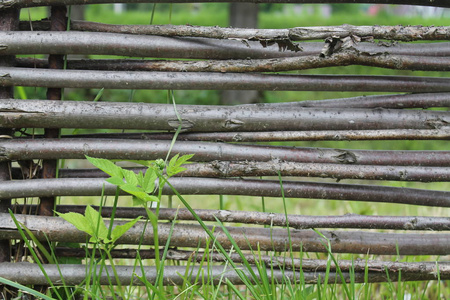 乌克兰传统柳条木栅栏