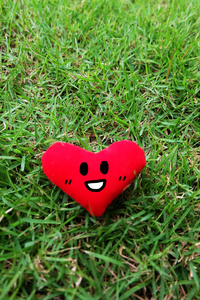 红心为情人节理念。微笑面对红心隔离在鲜绿草园背景大有用处.