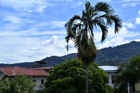 菲律宾卡兰巴温泉度假村