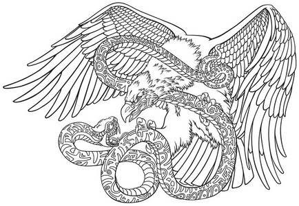 短趾蛇鹰素材-短趾蛇鹰插画-摄图新视界