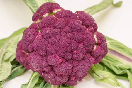 紫色西兰花特写宏照片