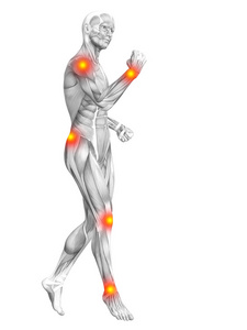 概念人体肌肉解剖红色和黄色热点炎症骨质疏松运动概念