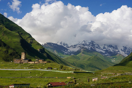 绿色草地景观，有房屋建筑物和山脉背景，UShguliSvaneti佐治亚州