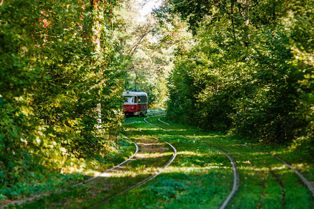 五颜六色的森林中的电车和电车路轨