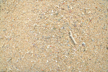 珊瑚石在海滩上的贝壳和沙子