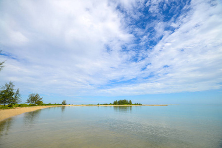 热带海滨, 有美丽海景的松树