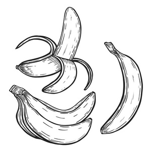 香蕉水果套装