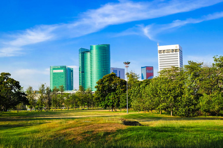 公园与建筑摩天大楼在绿色城市蓝天照片