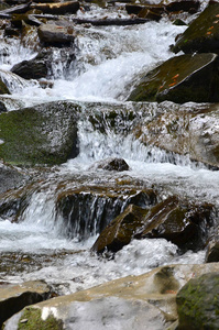 特写一个小的野瀑布的图像，它的形式是山石之间的短水流