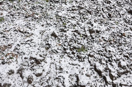 地面的纹理覆盖着一层薄薄的雪。 冬天花园的土壤。 挖出来的地面