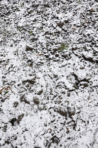 地面的纹理覆盖着一层薄薄的雪。 冬天花园的土壤。 挖出来的地面