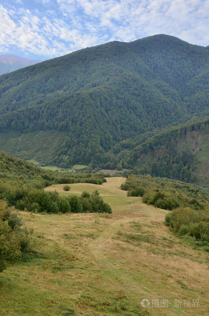 乌克兰喀尔巴阡山脉地形的碎片. 这片森林被喀尔巴阡山的浮雕所原谅