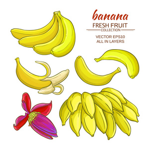 香蕉水果向量集