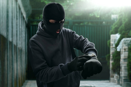 蒙面的小偷图片