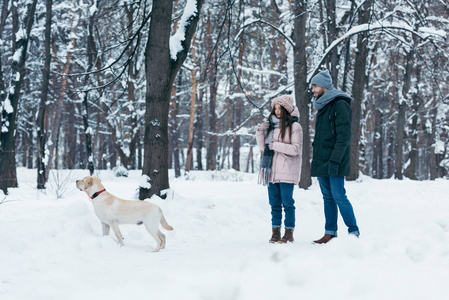 一对年轻夫妇在冬天的雪地公园里遛狗