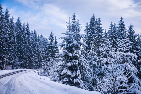 圣诞节冬季景观云杉和松树覆盖着雪在山路上