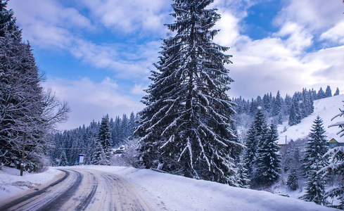 圣诞节冬季景观云杉和松树覆盖着雪在山路上