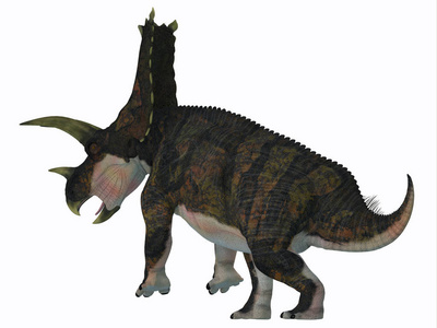 布拉沃塞托普斯是一种食草的陶氏恐龙，生活在白垩纪的德克萨斯美国。