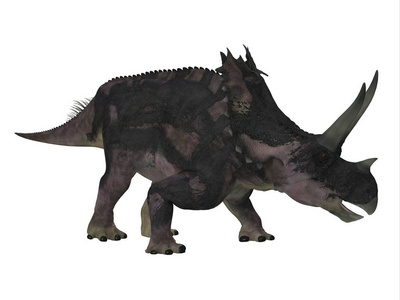 Agujaceratops 恐龙侧面轮廓