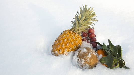 雪中的菠萝椰子葡萄和橘子