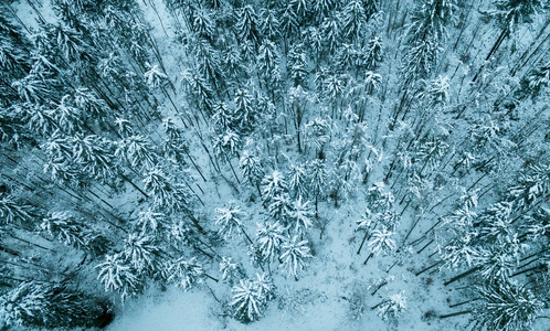 鸟瞰冬季冰雪覆盖的森林景观。无人机摄影收藏