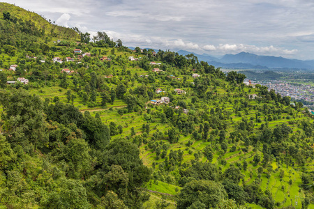 尼泊尔博克拉山谷的绿色稻田
