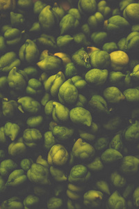 新鲜的绿色鹰嘴豆或鹰嘴豆，也被称为哈巴拉或哈哈拉在印地语和西泽是科学的名称，在木碗或盘子。 选择性聚焦