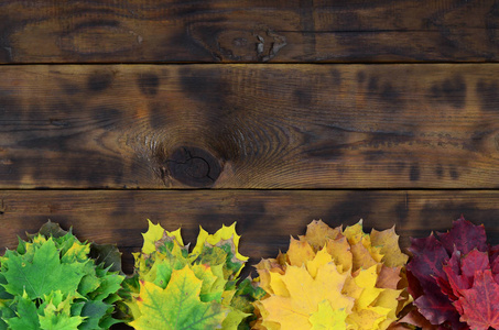 深褐色的天然木板的背景表面上许多黄色的秋天落叶的组成