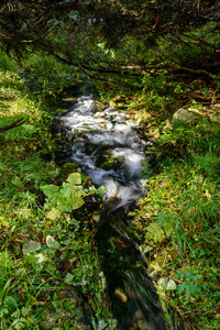 公园内风景秀丽的旅游足迹 Slovensky 拉吉