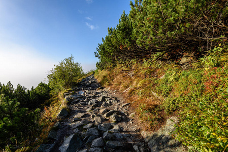 公园内风景秀丽的旅游足迹 Slovensky 拉吉