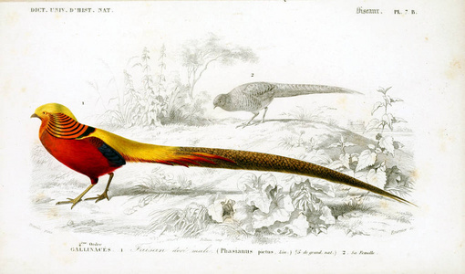 histoire naturelle Paris 1849