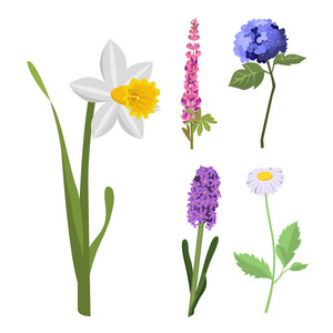 美丽的春天花植物绽放水彩绘画夏天分支花瓣装饰花束自然设计矢量插图
