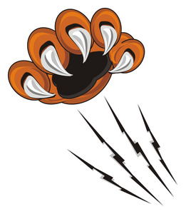 虎爪图片-虎爪素材-虎爪插画-摄图新视界