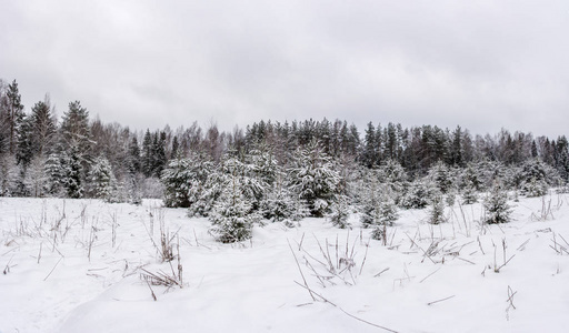 俄罗斯中部的一个美丽的冬季景观