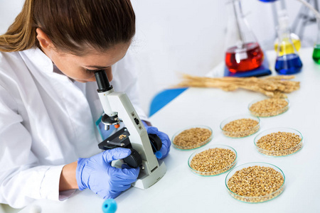 检验优质小麦的年轻女科学家